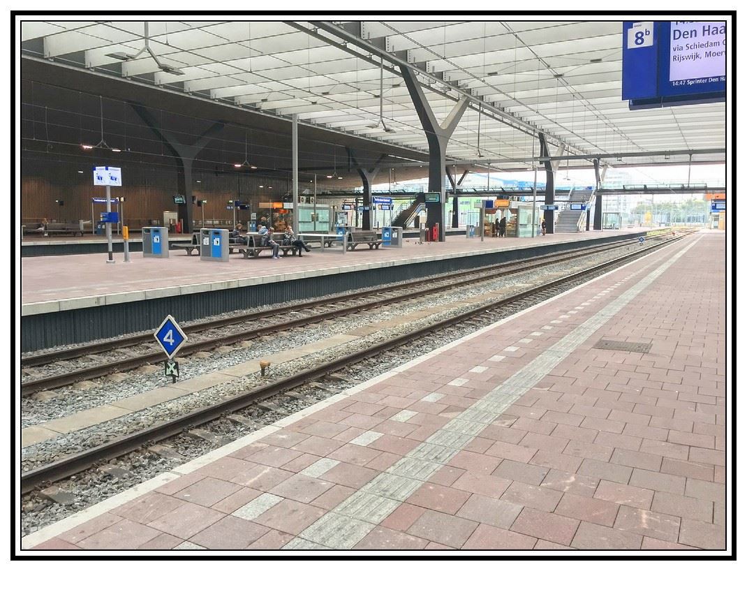 conew_img_8038_104 conew_img_8038_104