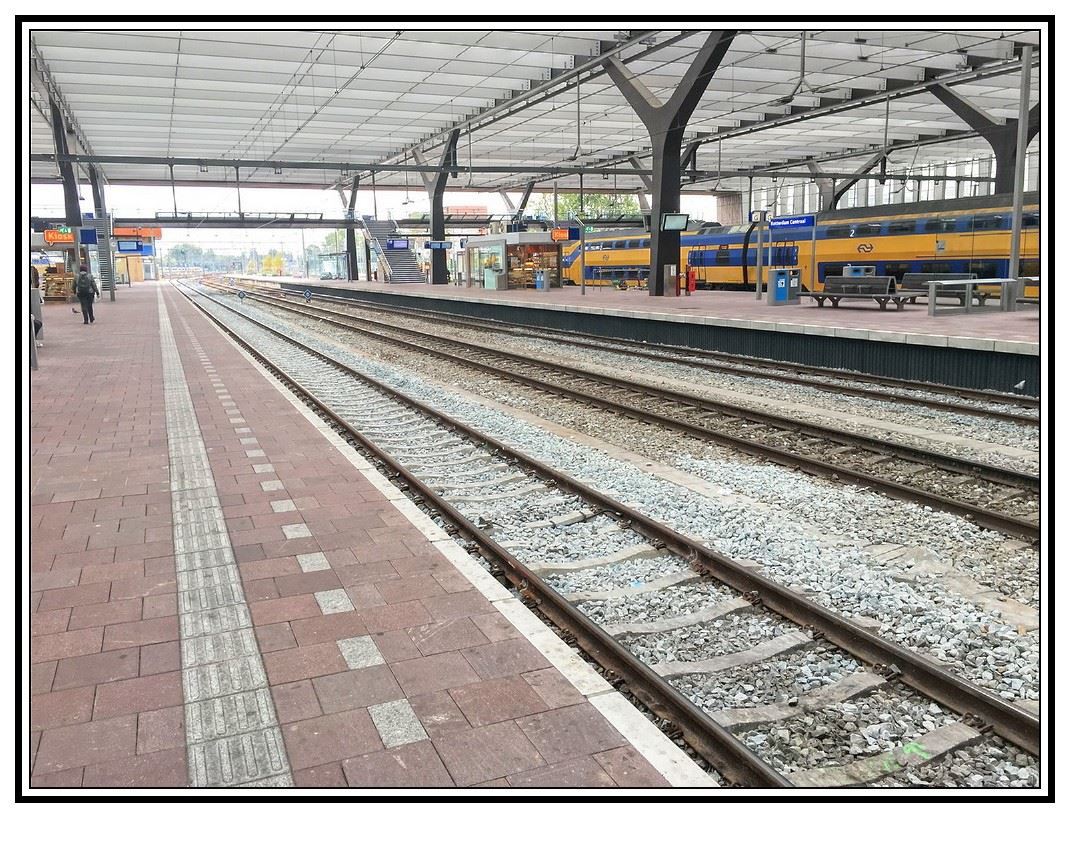 conew_img_8038_080 conew_img_8038_080