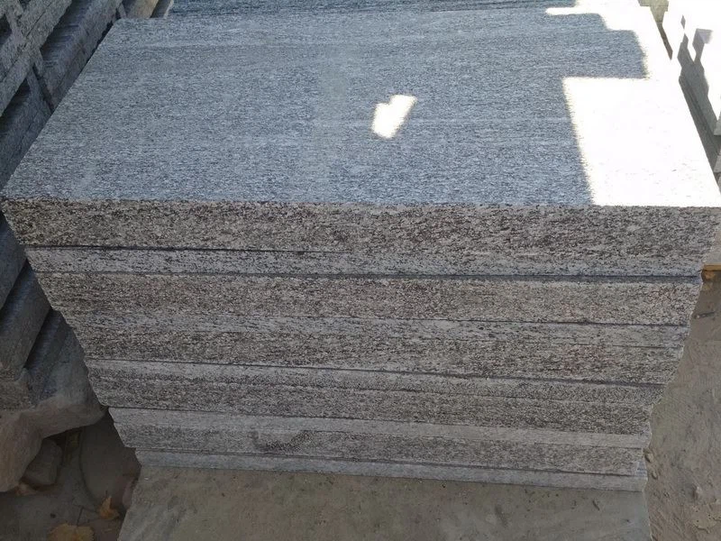 G302-Nero Santiago-Fantasy Grey Wood Granitee for Pool.jpg