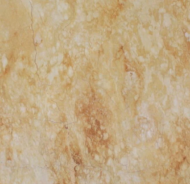 Close up.jpg