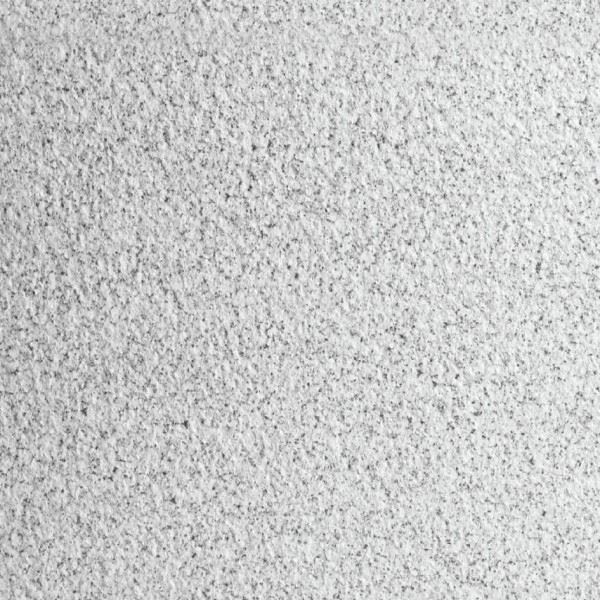 SC254 Sesame White Small Grain Porcelain