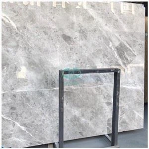 Tundra Grey Marble