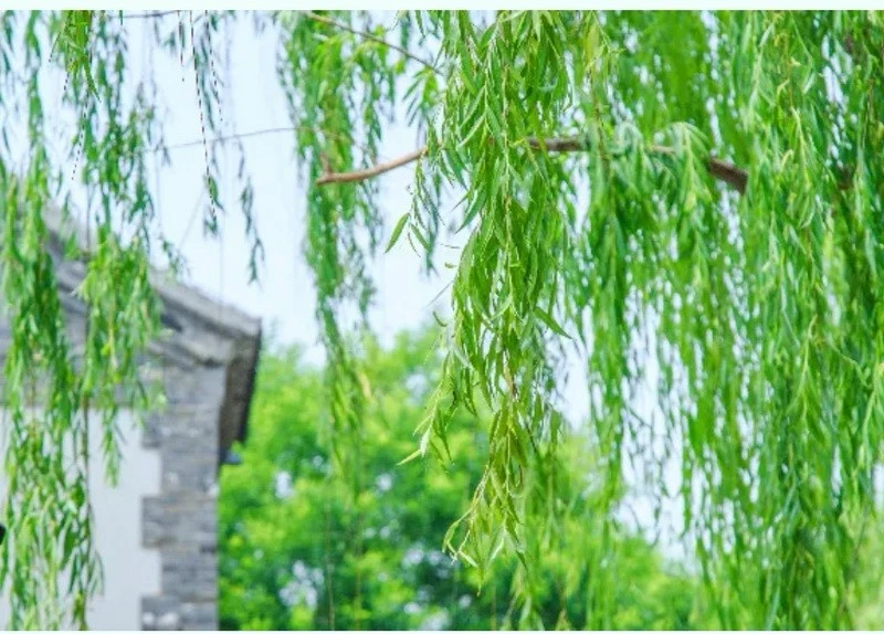QQ20240403113521 QQ20240403113521