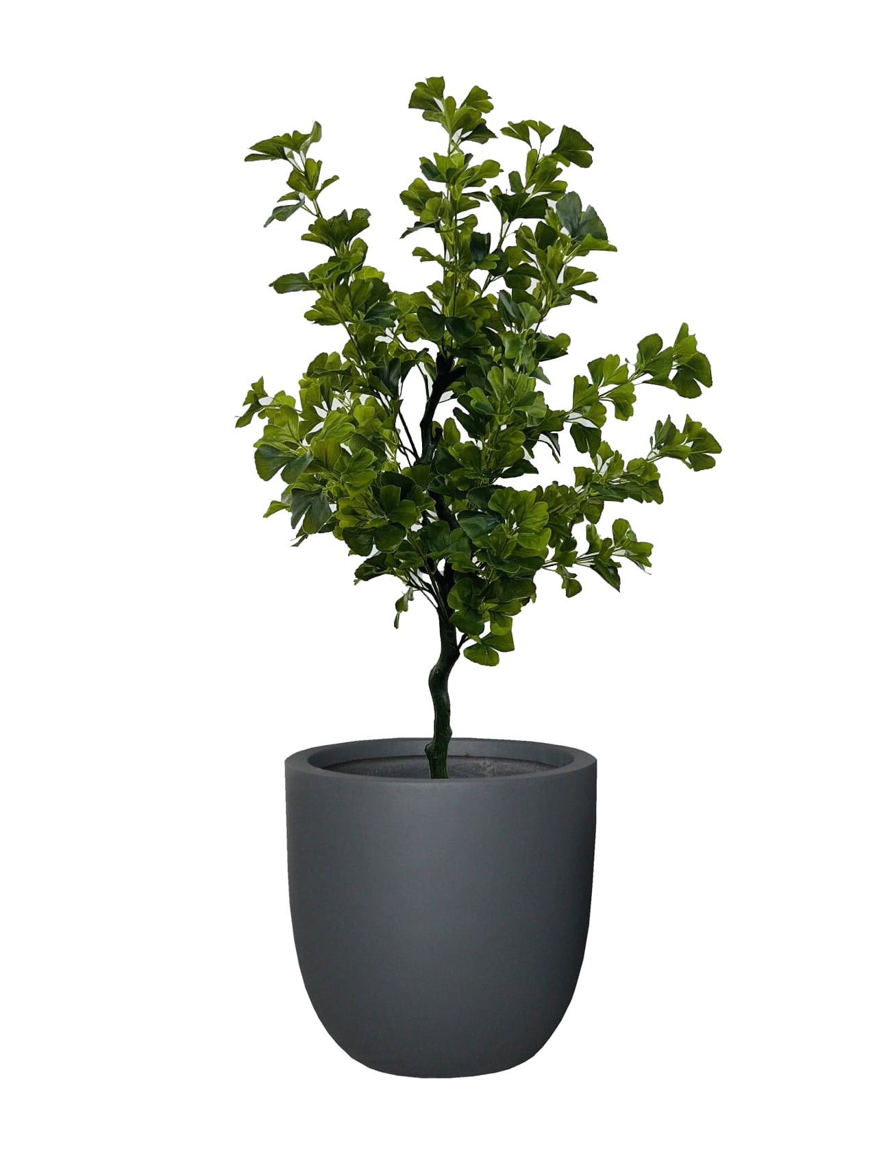 product-1280-1707
